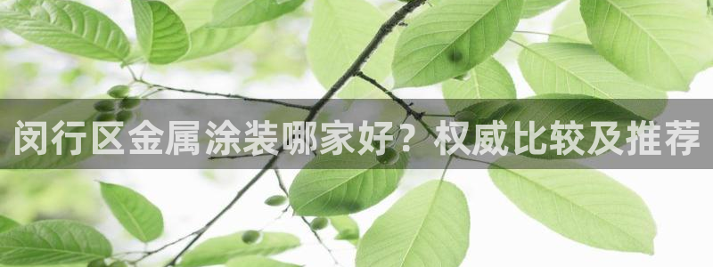 美高梅酒店房间