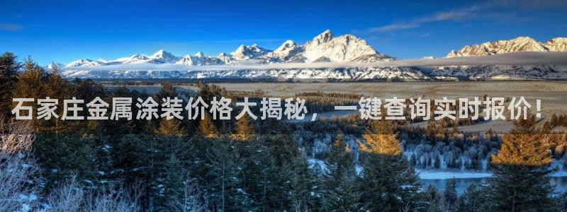 美狮美高梅酒店海洋秀