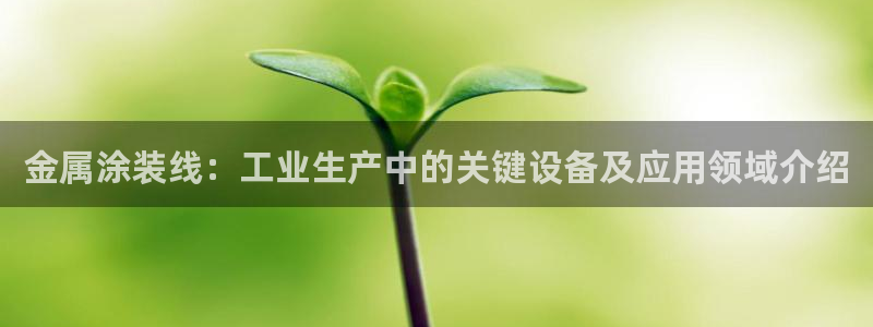 美高梅天幕广场表演