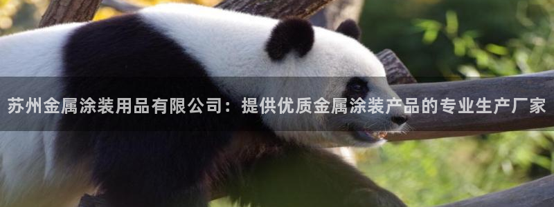 美高梅一积分多少钱