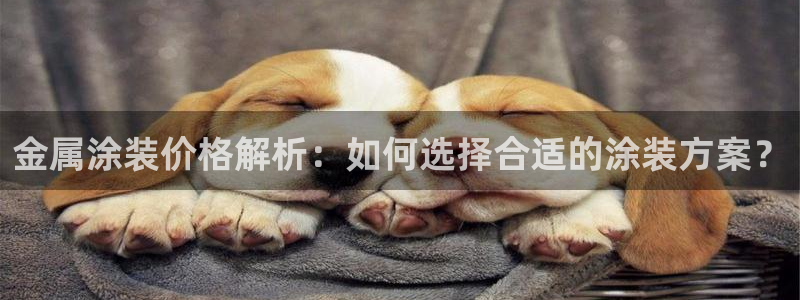 美狮美高梅商场