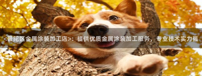美高梅小梅沙招聘