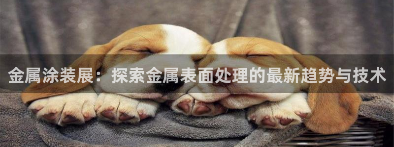 美高梅全球几家