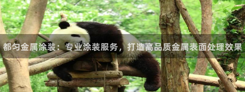 美狮美高梅酒店房间好订吗