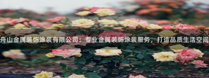 美高梅官网版是正品吗