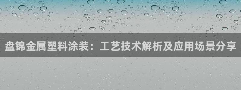 美高梅酒店拖鞋