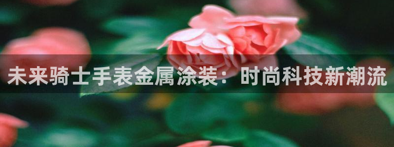 美高梅客户服务中心招聘