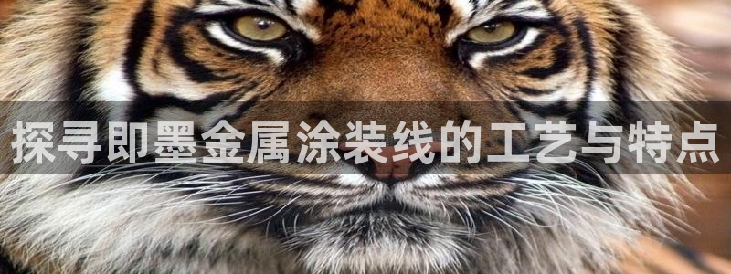 美高梅奶茶