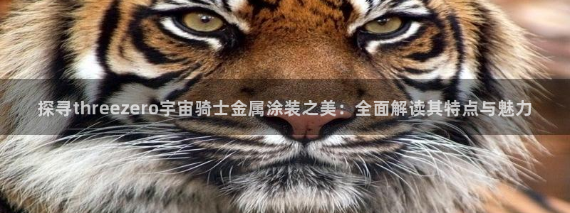 美狮美高梅酒店环境