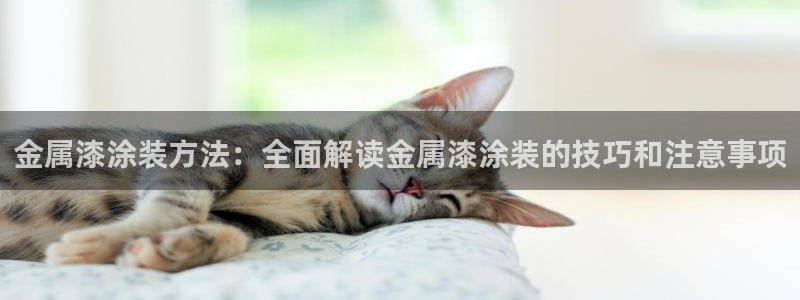 美高梅游戏安卓手机版官网