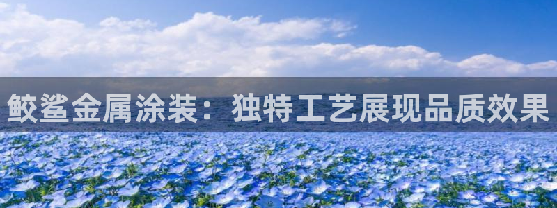 美高梅哪个集团的