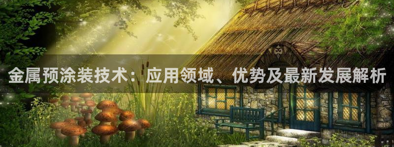 美高梅是做什么的澳门何超琼