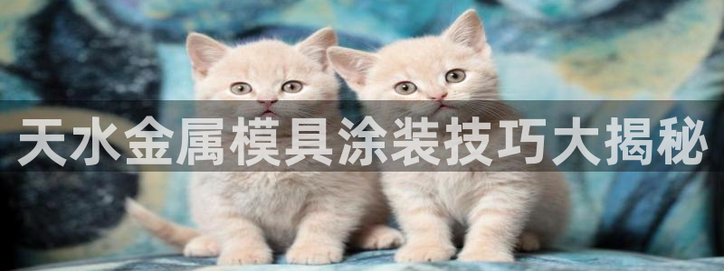 美高梅提现提不出来