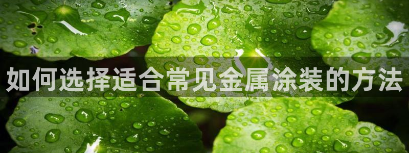 美高梅酒店免费的什么茶