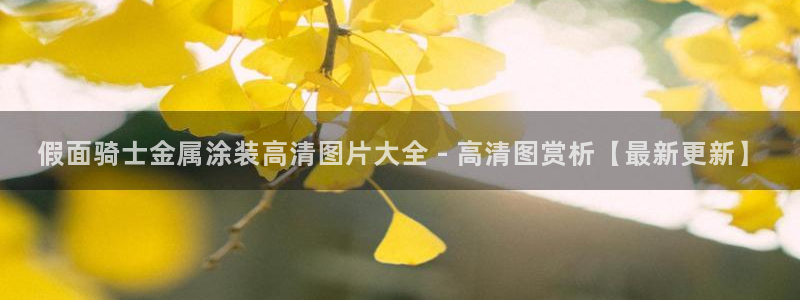 美高梅被收购