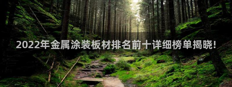 美高梅属于什么集团