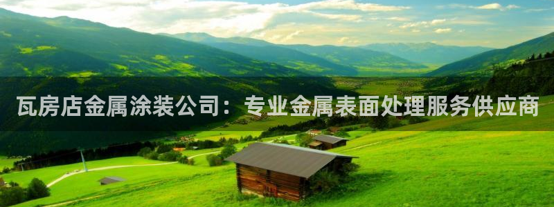 美高梅公司的业务范围