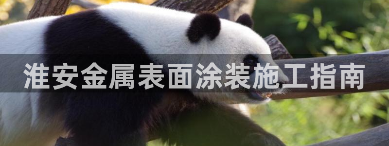 美高梅几星级酒店?