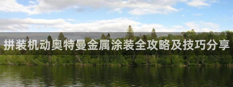 美高梅飞鱼表演还有吗