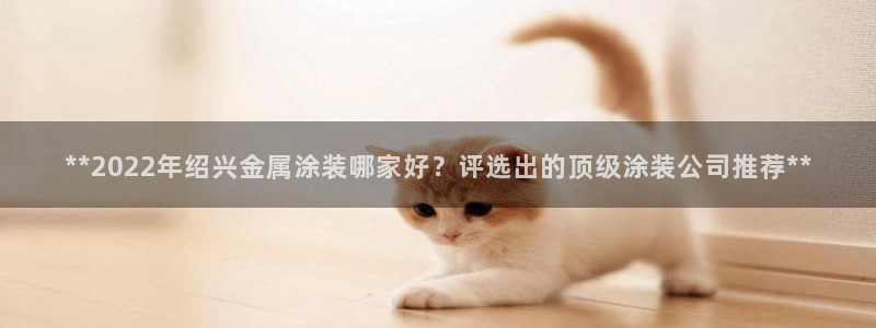 美狮美高梅酒店谢霆锋