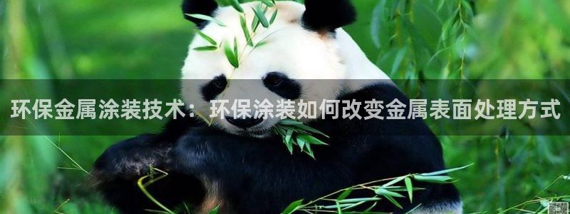 美高梅金狮卡值多少钱