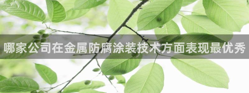 美高梅酒店图片