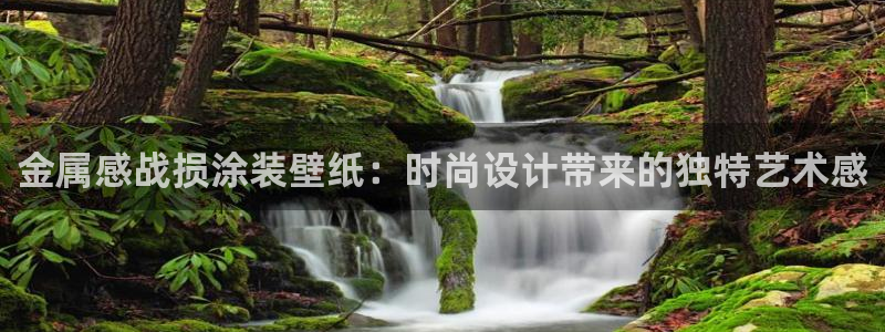 美高梅国际酒店集团和何超琼