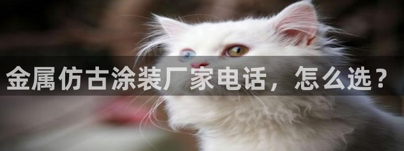美高梅会员卡级别介绍