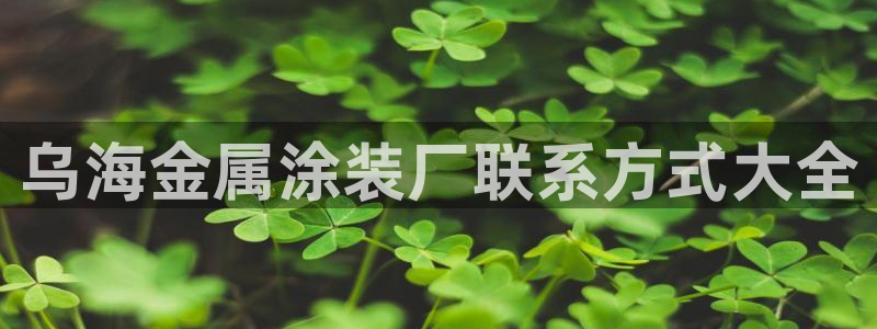 美高梅酒店香水啥牌子