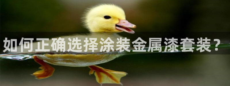 美高梅十大游戏