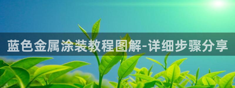 美高梅何超琼股份