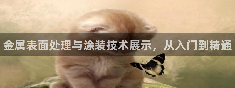 美高梅国际俱乐部是做什么的