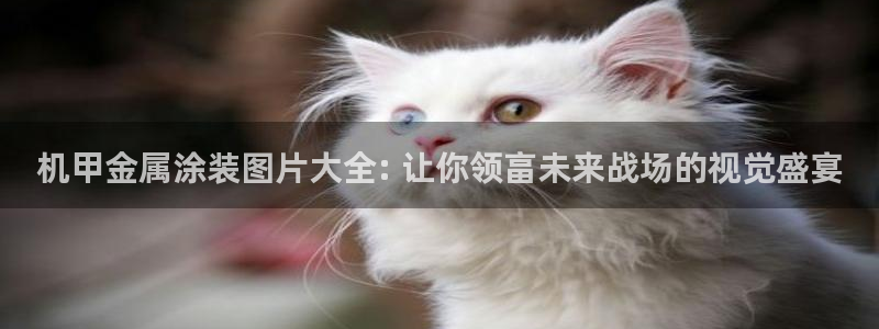 中国美高梅酒店有几家