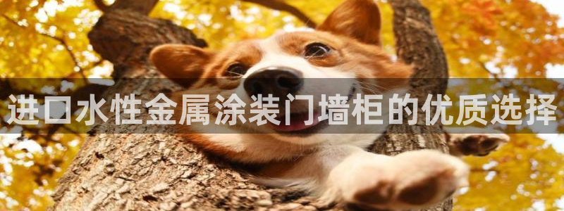 美高梅酒店工作怎么样