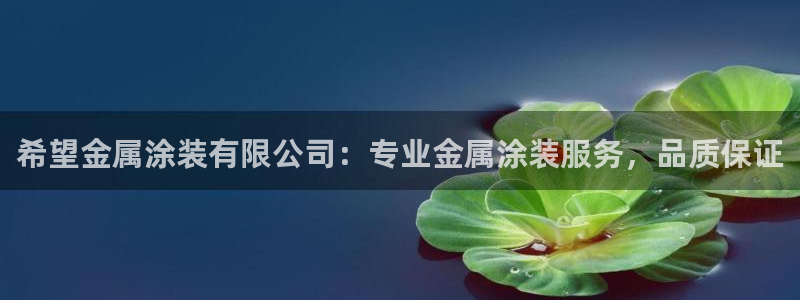 美狮美高梅酒店路线