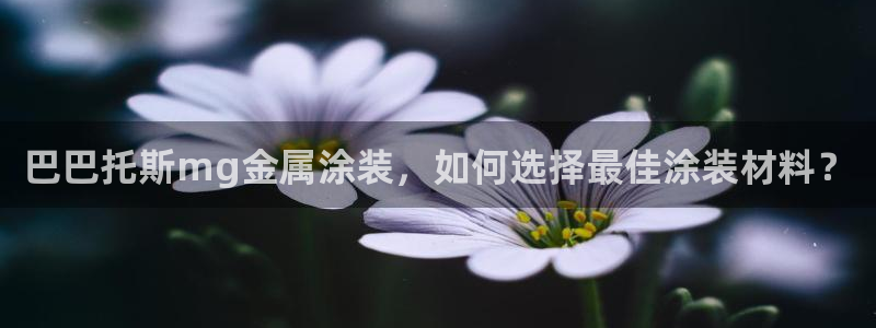 美高梅控股有限公司是国企吗