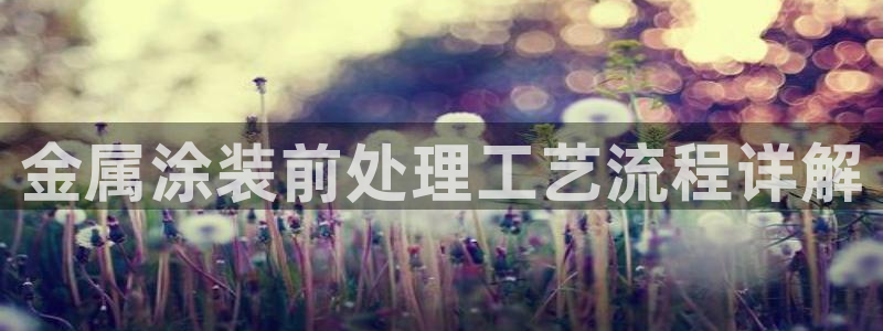 美高梅会员等级怎么分