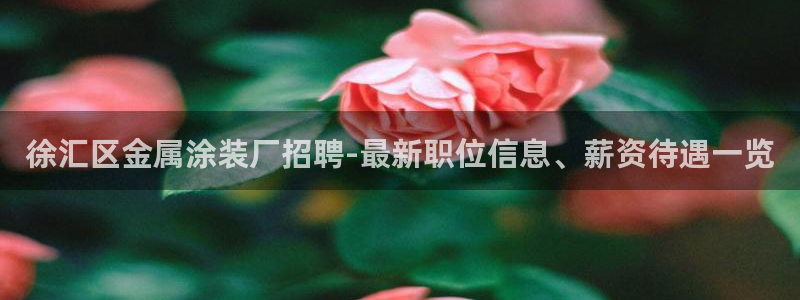 美高梅飞鱼表演时间