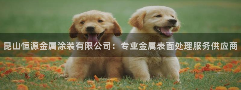 美高梅酒店老板是谁