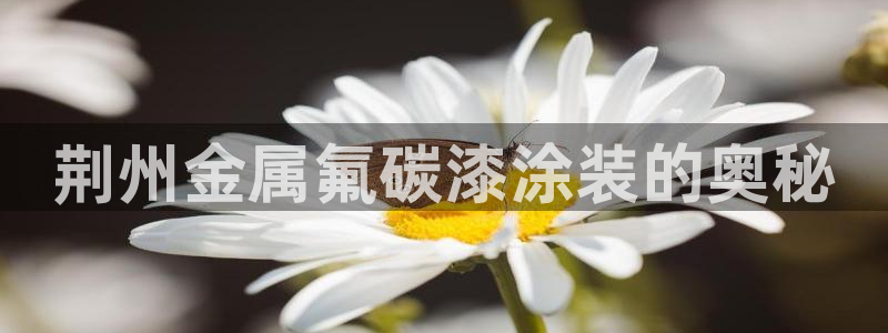 美高梅酒店品牌