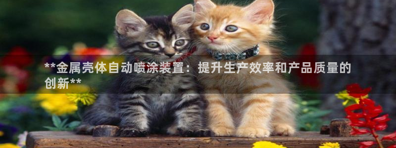 美狮美高梅酒店是几星