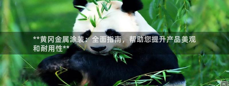 美高梅金狮卡值多少钱