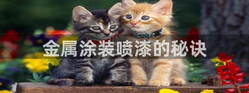 美高梅是哪个集团旗下的