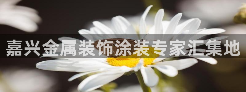 美高梅会员卡级别介绍