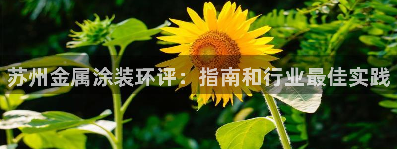 美高梅酒店会员
