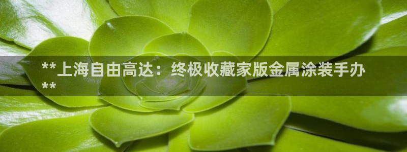 三亚美高梅酒店老板是谁