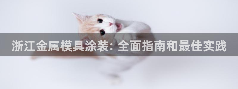 美高梅游戏攻略