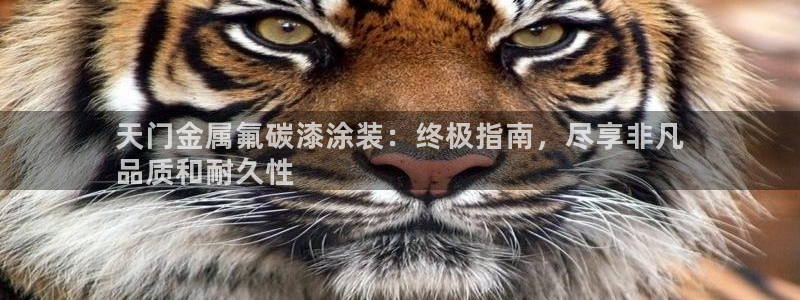 美高梅有私人沙滩吗