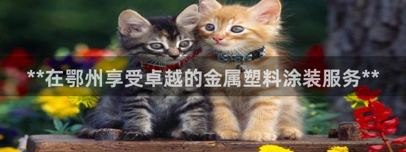 美狮美高梅酒店御狮别墅