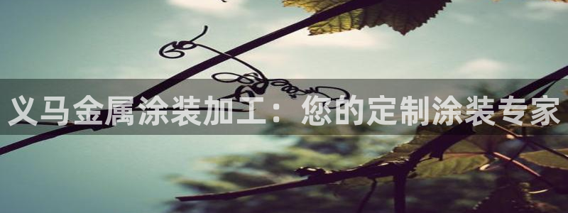 美高梅酒店武汉